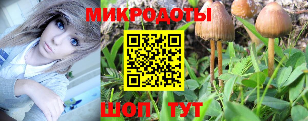 Псилоцибиновые грибы Psilocybe  Галлюциногенные грибы Psilocybe  Вход с VPN  Арсеньев 